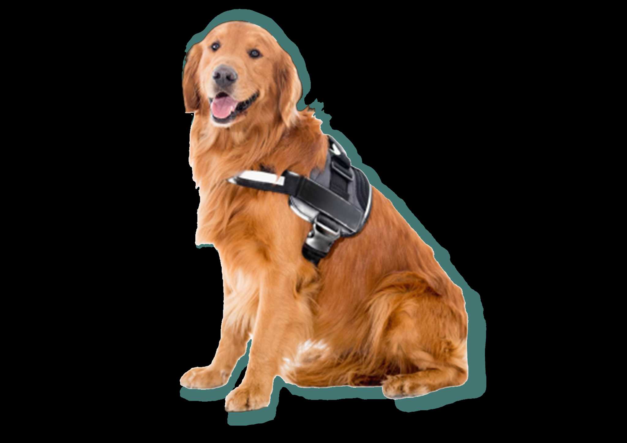 image befor ai generation