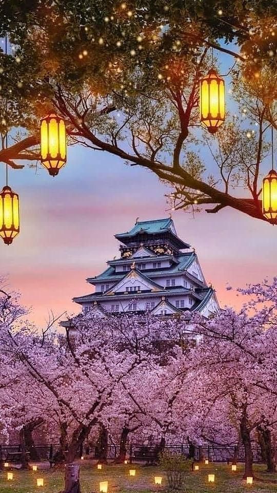 image befor ai generation