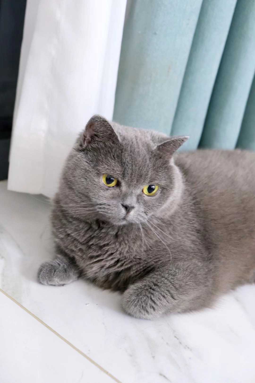 image befor ai generation