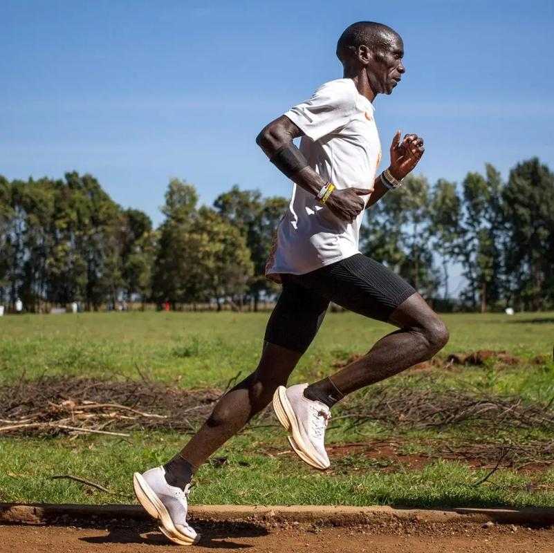 image befor ai generation