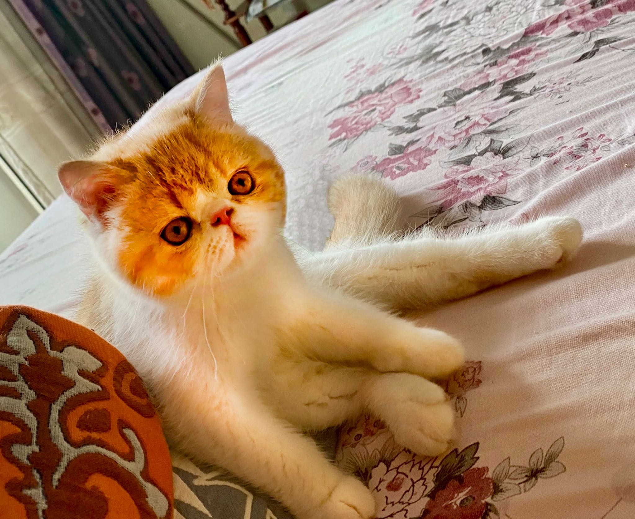 image befor ai generation