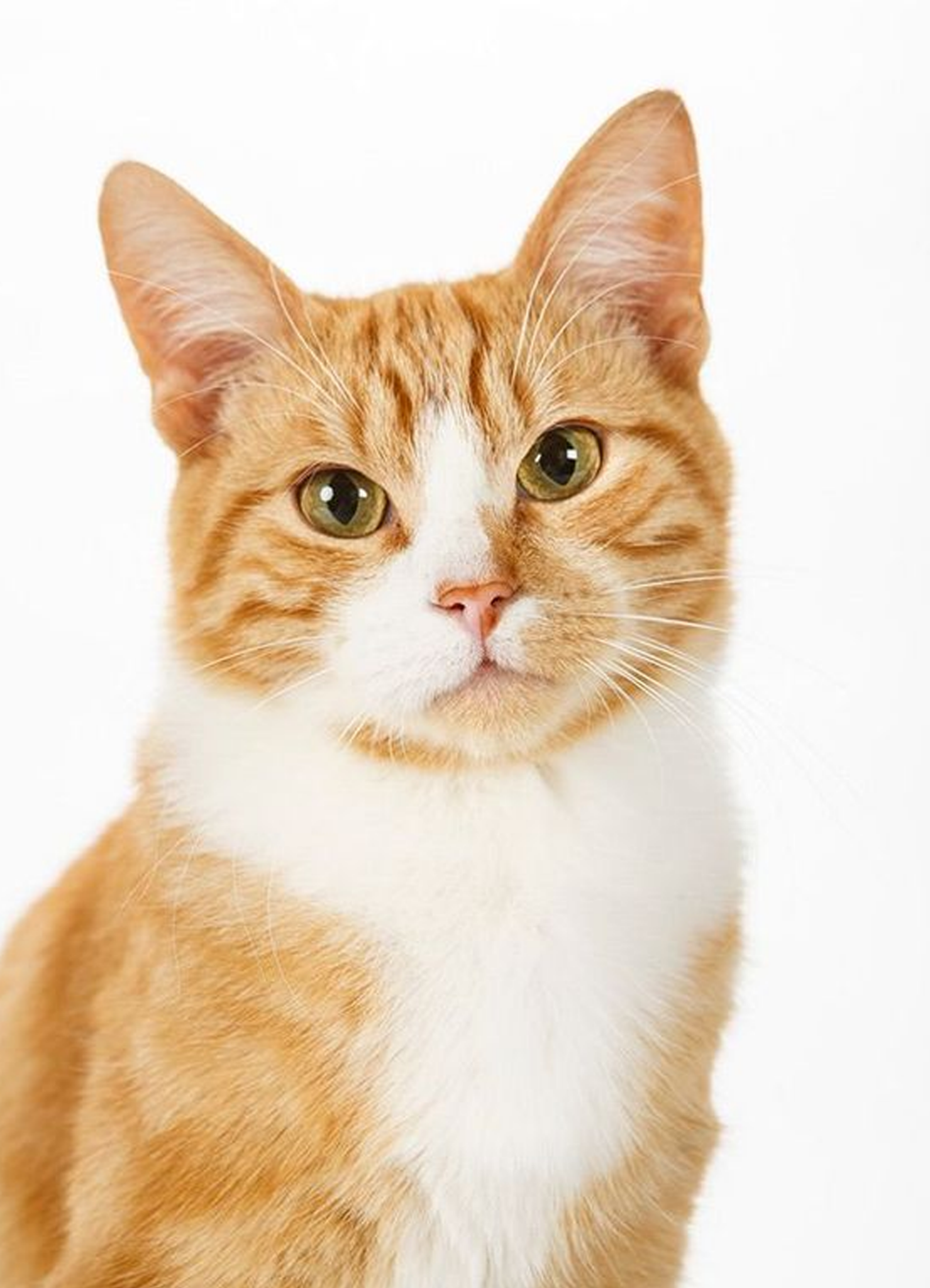 image befor ai generation