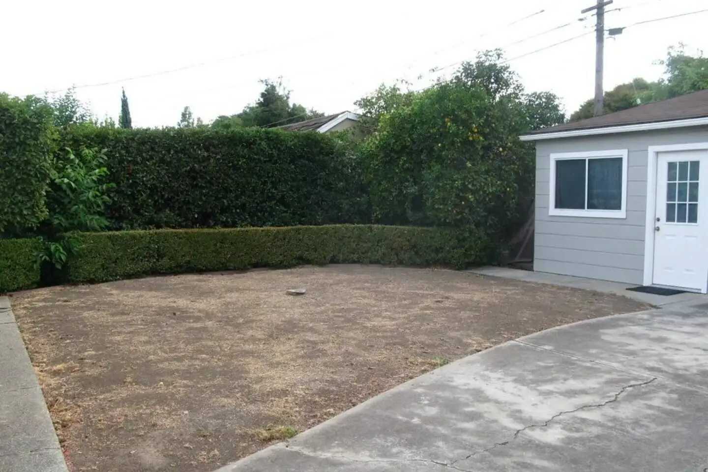 image befor ai generation