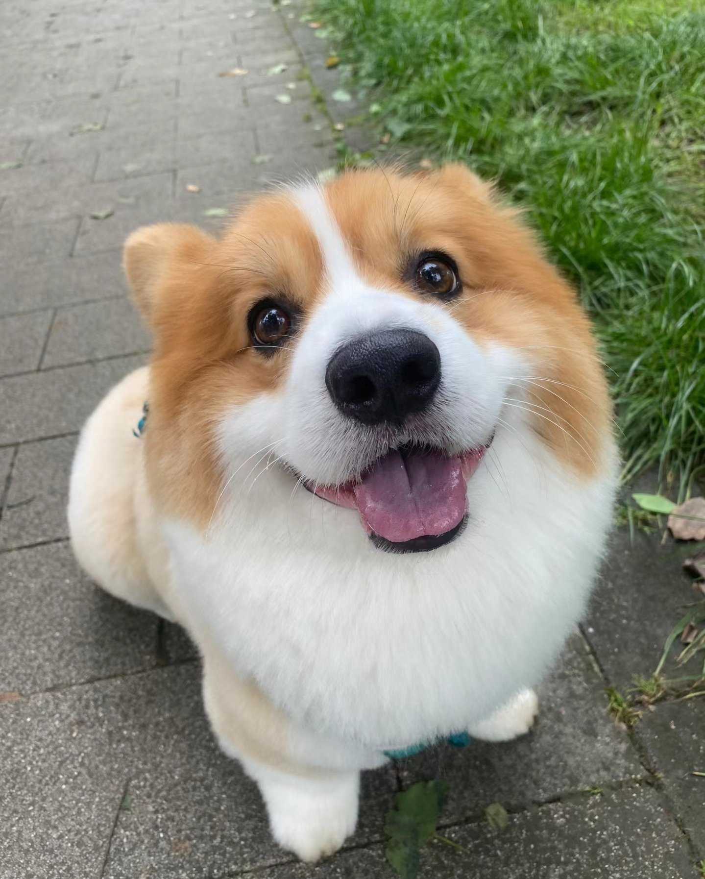 image befor ai generation