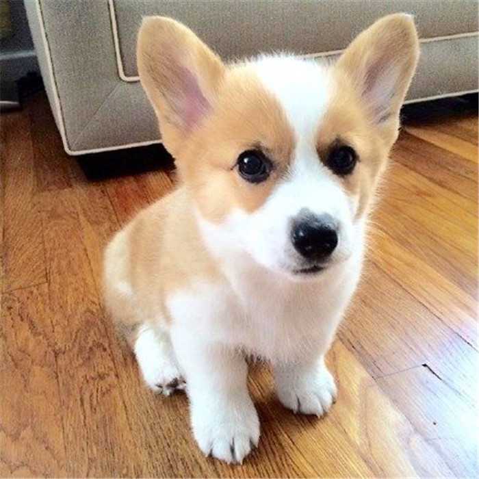 image befor ai generation