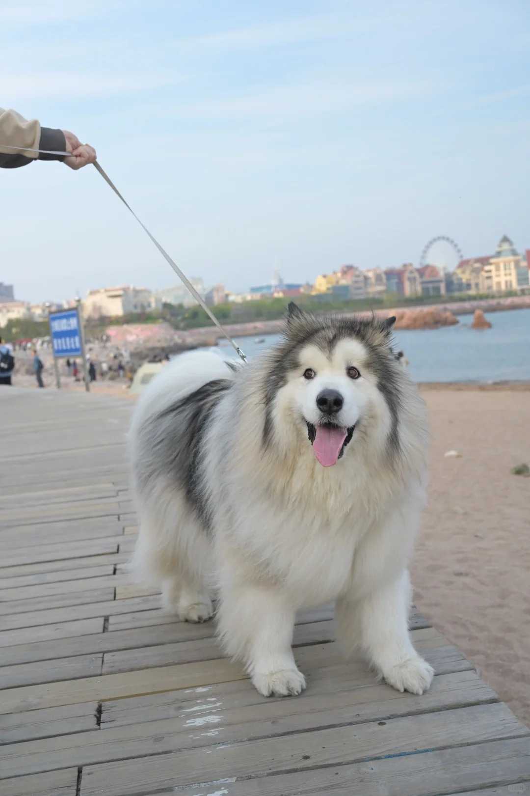 image befor ai generation