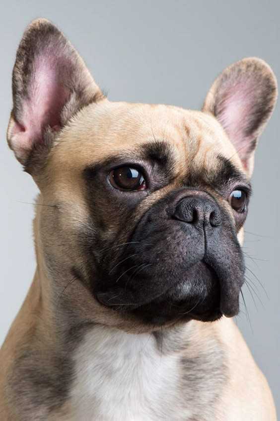 image befor ai generation