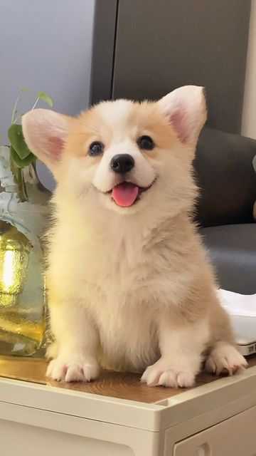 image befor ai generation