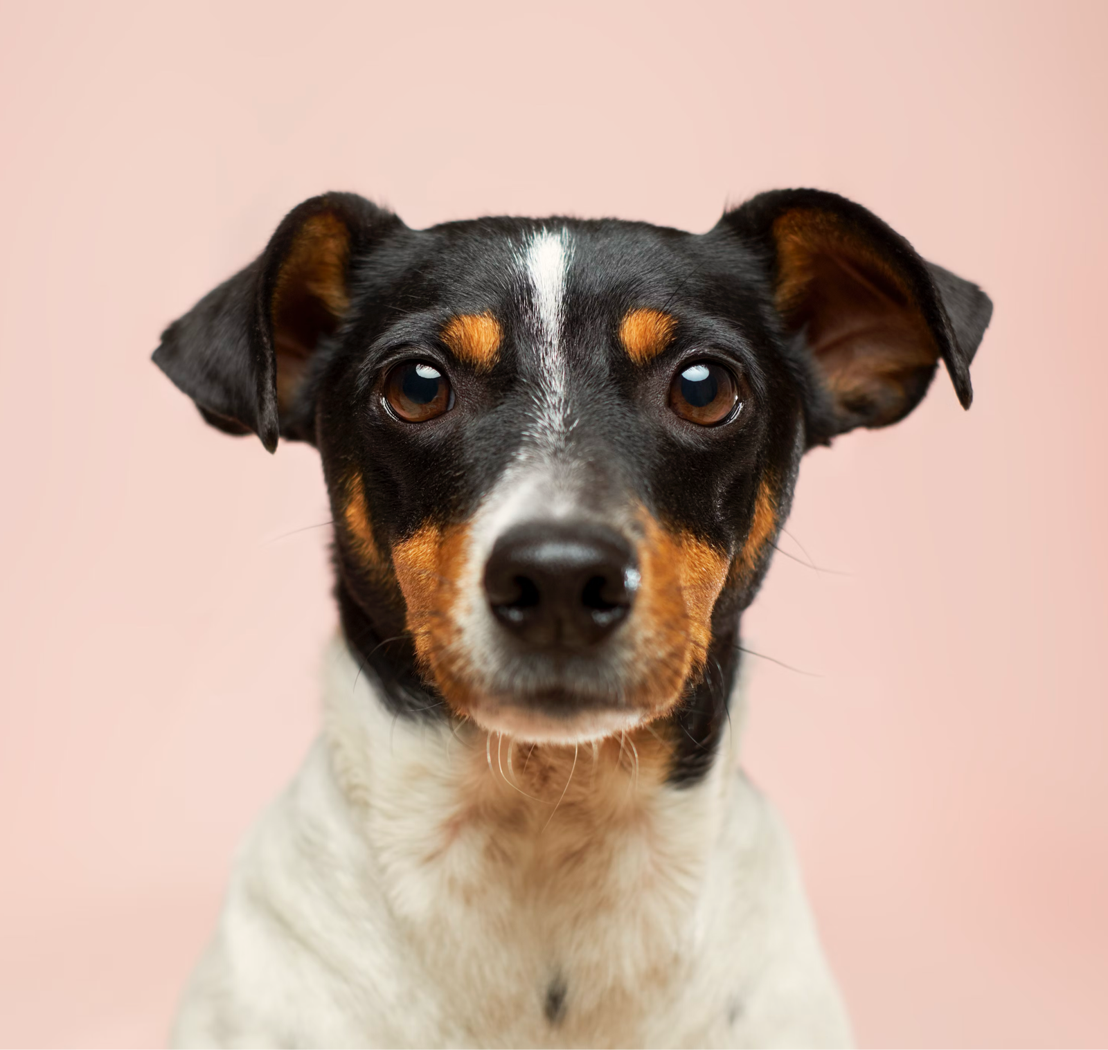 image befor ai generation