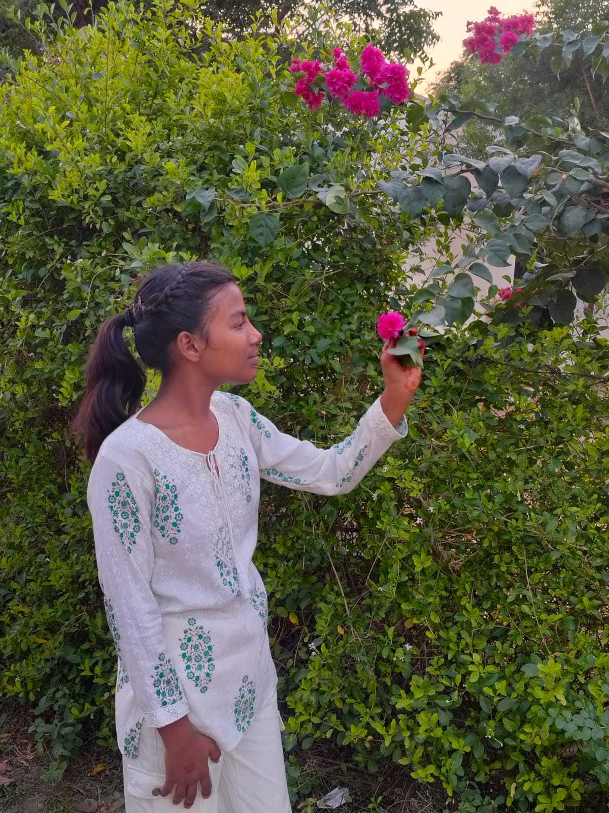 image befor ai generation