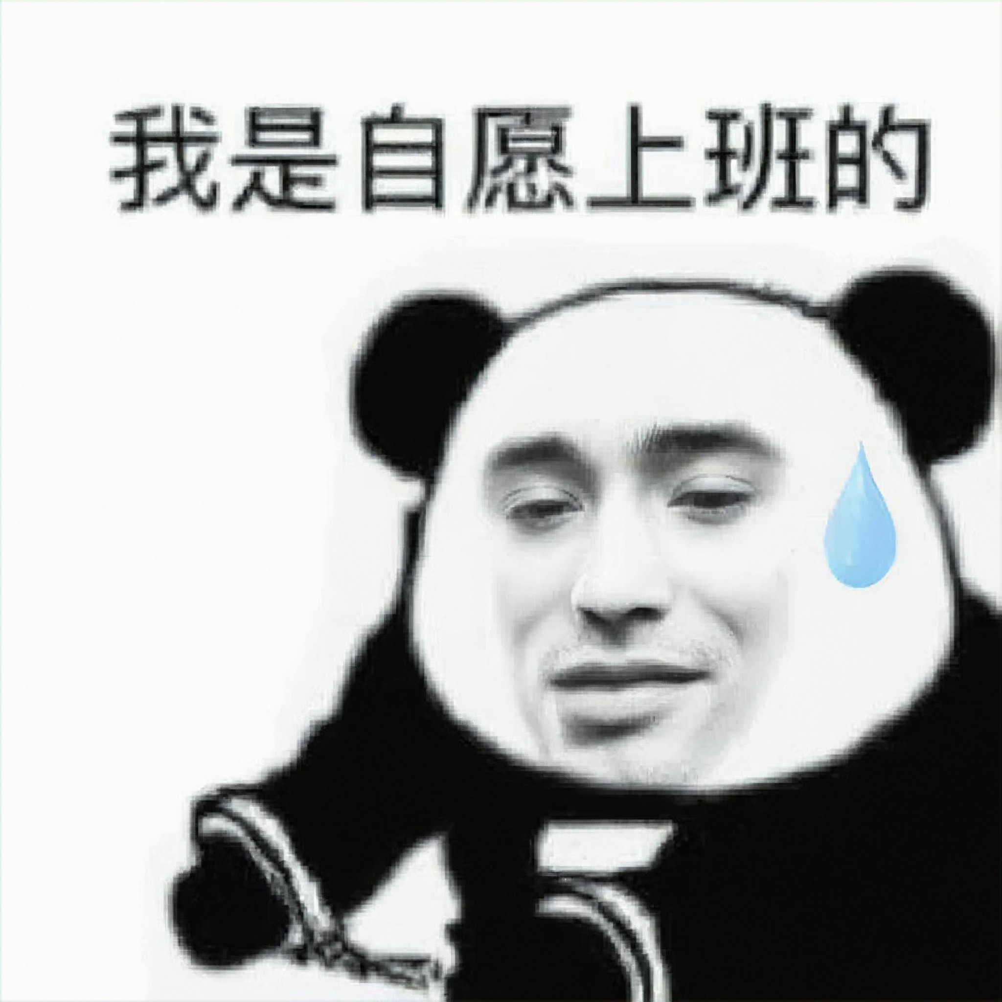 I work voluntarily image