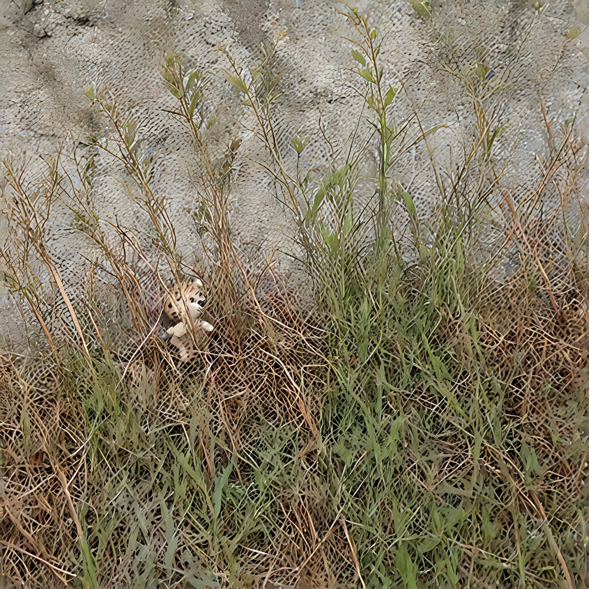 Cute Felt/Cute Felt Style (fork) image