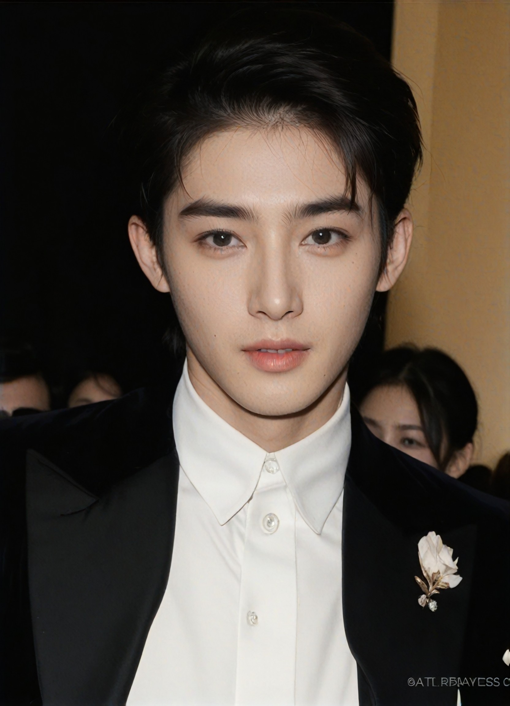 a1.art-generated Korean Video image