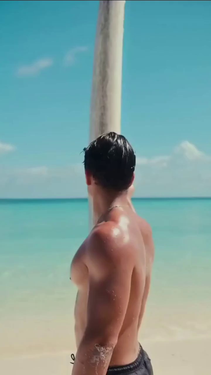 ​​Beach Surfer Hunk​​ image