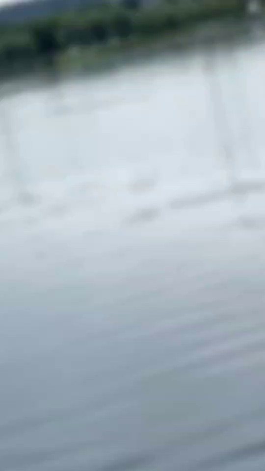 ​​Pure Beauty by the Lake​​ image