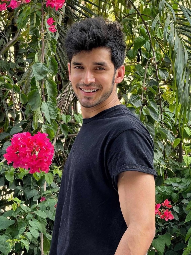 Tame the tiger! image