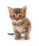 Your Photo