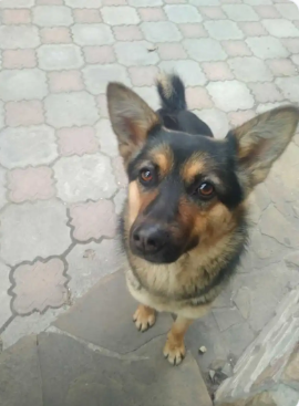 Your Photo