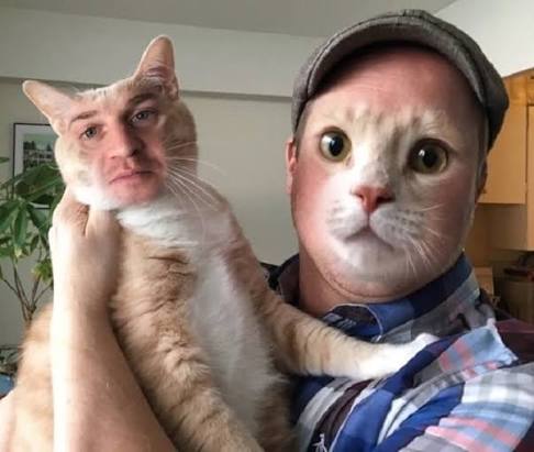 Función de combinación realista en intercambio de rostro con animales por IA