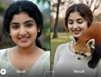 Why use image